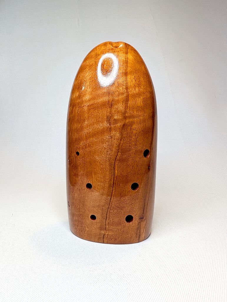Wooden Bass Xun - Figured Rambutan, Curly Maple, Wenge