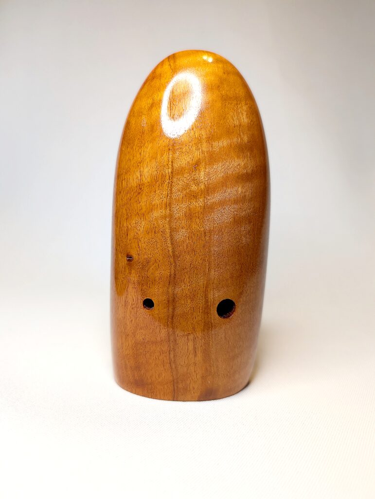 Wooden Bass Xun - Figured Rambutan, Curly Maple, Wenge - Back