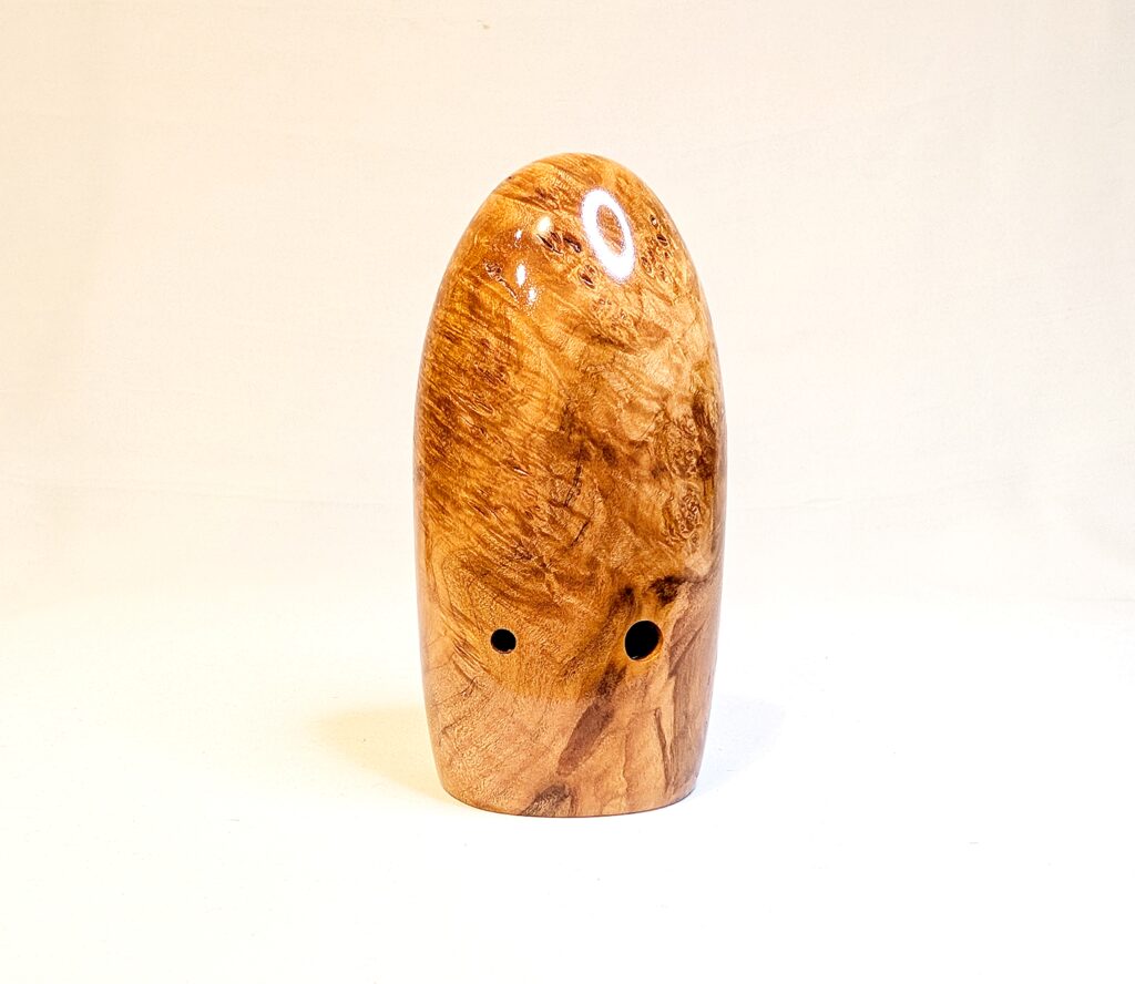 Wooden Bass Xun - Figured Maple Burl - Back