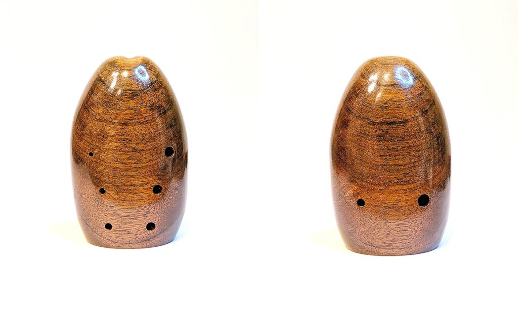 Alto E4 Wooden Xun - Amazique 1 - Shop