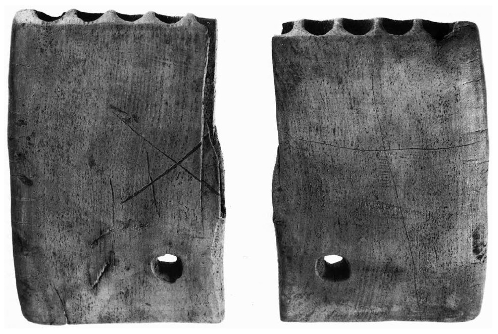 Jorvik Panpipe Artifact